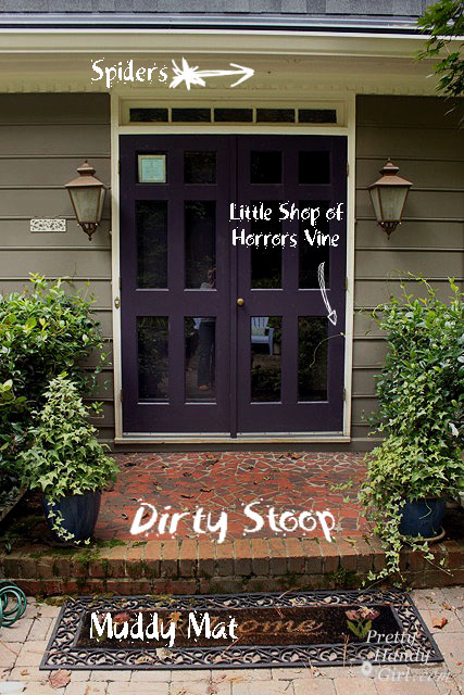 How to Clean Your House Exterior without a Pressure Washer or Ladder