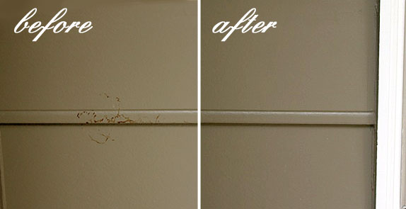 How to Clean Your House Exterior without a Pressure Washer or Ladder