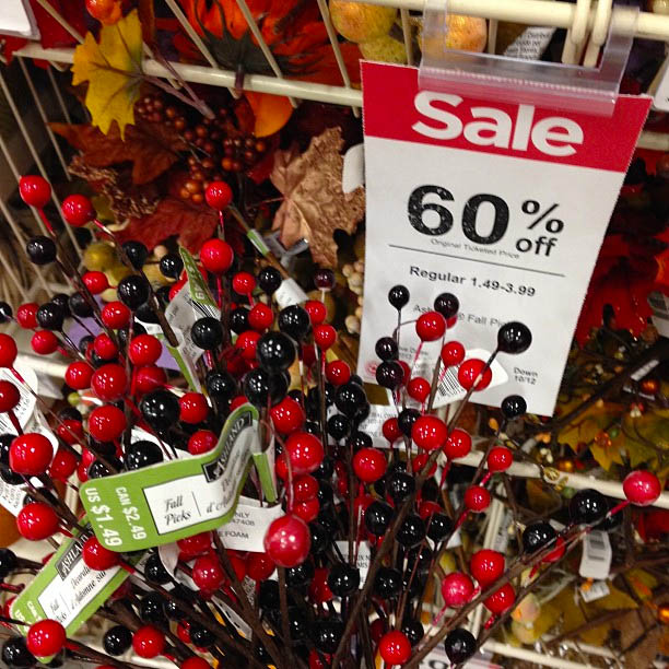 fall-berries