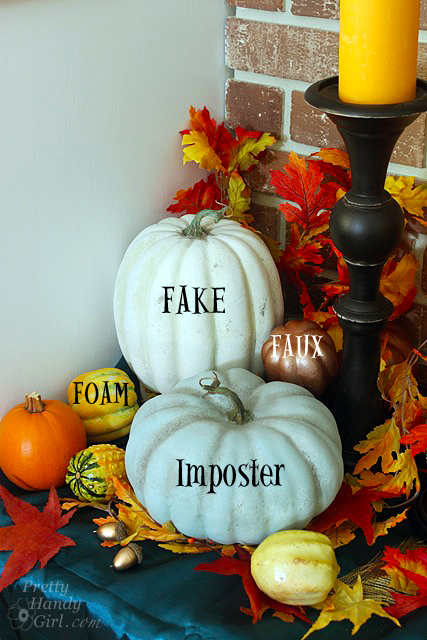 the_fakes