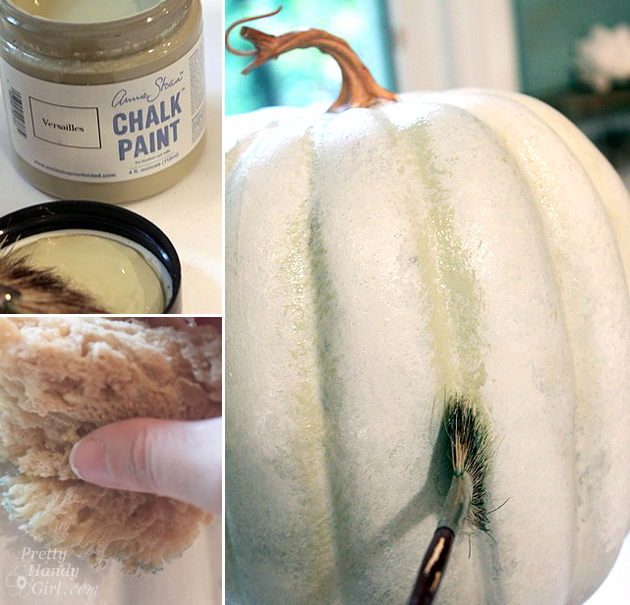 white-gourd-pumpkin