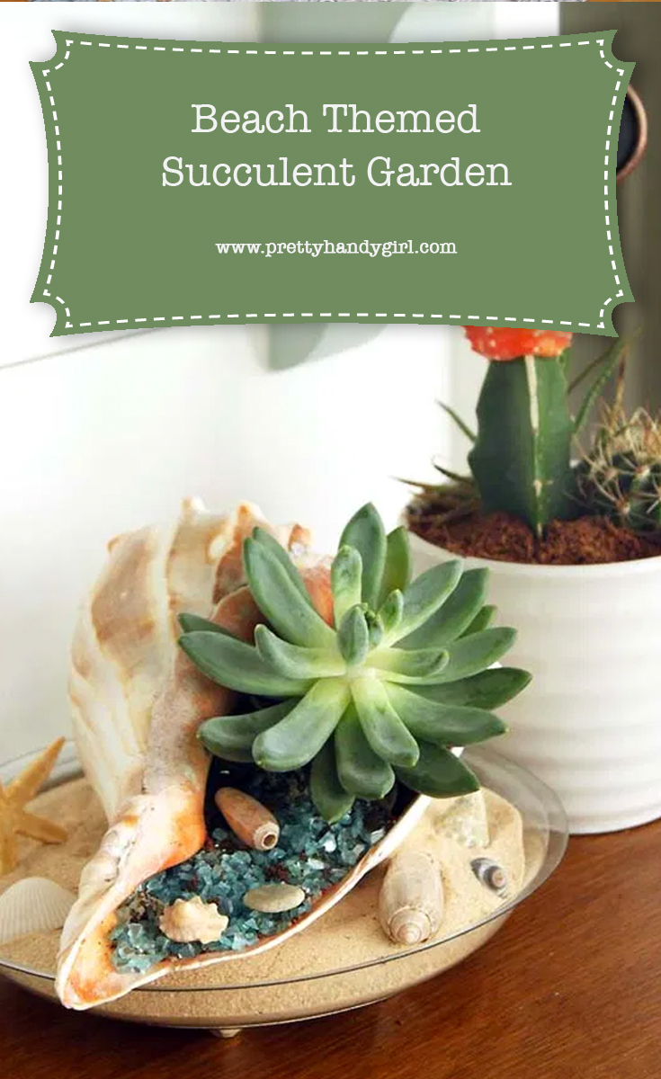 DIY Beach-Themed Succulent Garden | Pretty Handy Girl 