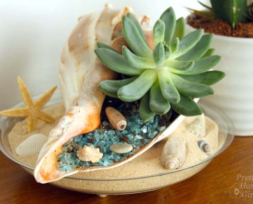 Beach-themed Succulent Garden | Pretty Handy Girl
