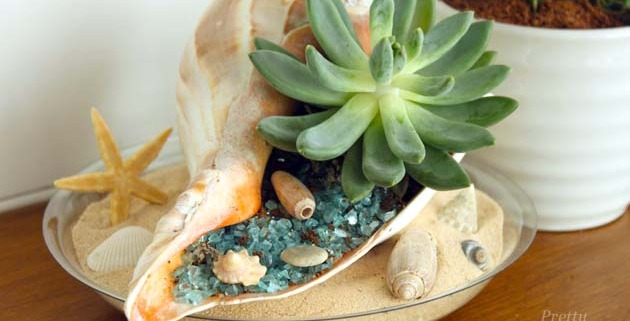 Beach-themed Succulent Garden | Pretty Handy Girl