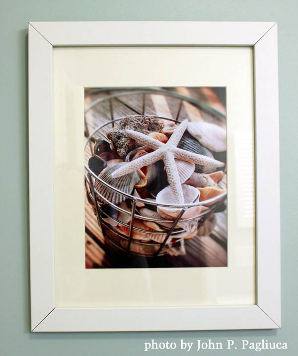 johns-bucket-shells-picture