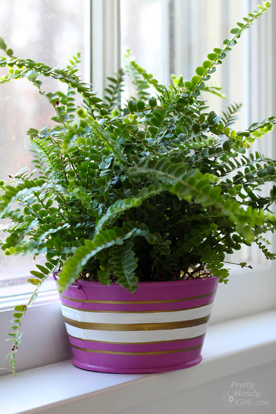 Radiant Orchid Vases from Recycled Cans & Jars | #upcycling | Pretty Handy Girl