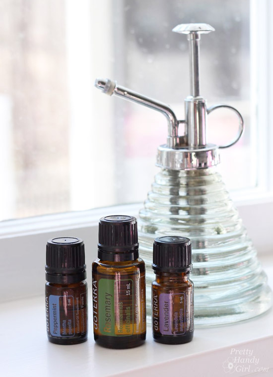 10 Non-Toxic Dust Mite Remedies | Pretty Handy Girl