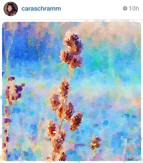 caraschramm_blue_pink_floral