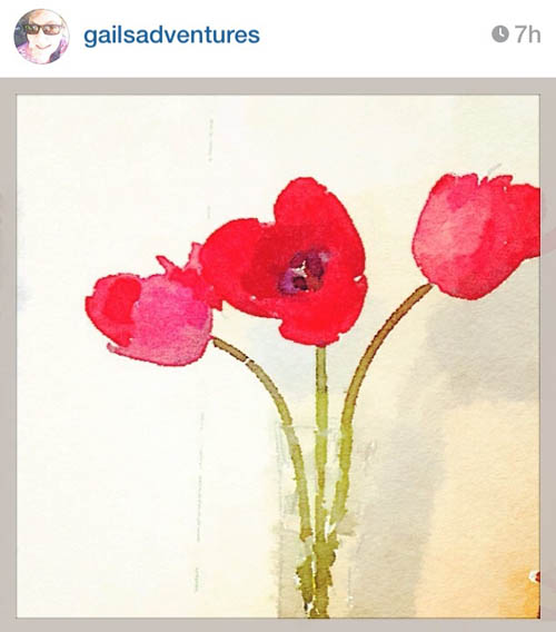 gailsadventures_tulips