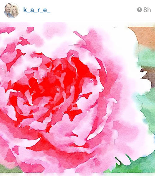 kare_peony