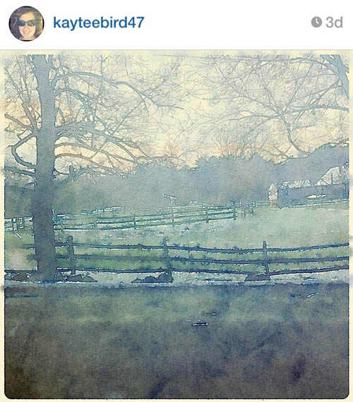 kayteebird47_countryside