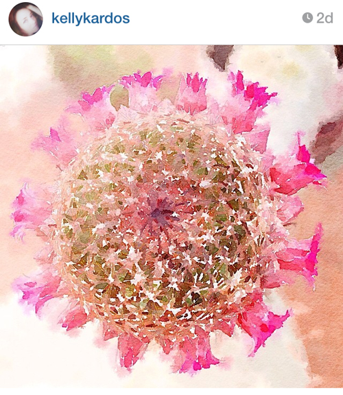 #PrettyWaterlogueApril Best of Week 4 | PrettyHandyGirl