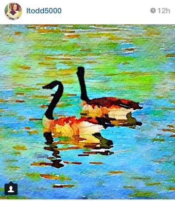 Best of #PrettyWaterlogueApril 2 | Pretty Handy Girl