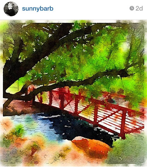 sunnybarb_bridge