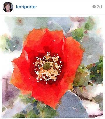 Best of #PrettyWaterlogueApril 2 | Pretty Handy Girl
