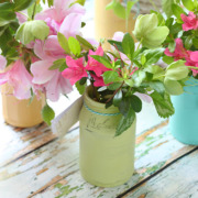 Farmhouse Painted (chalk like paint) Jar Vases | Pretty Handy Girl