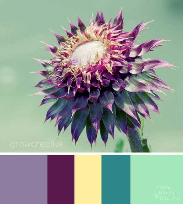 How to Choose Colors in Your Home | Pretty Handy Girl