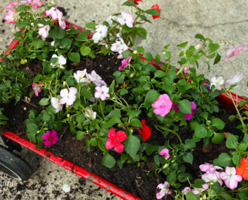 3 Step Wagon Planter Tutorial | Pretty Handy Girl