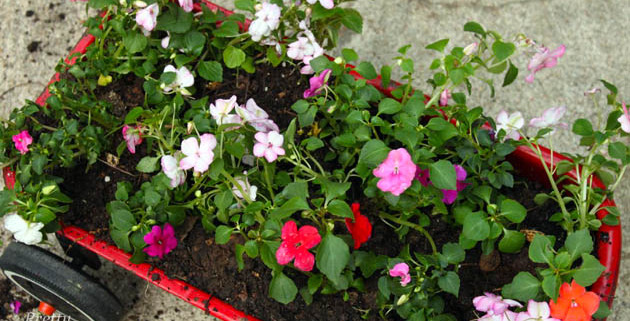 3 Step Wagon Planter Tutorial | Pretty Handy Girl