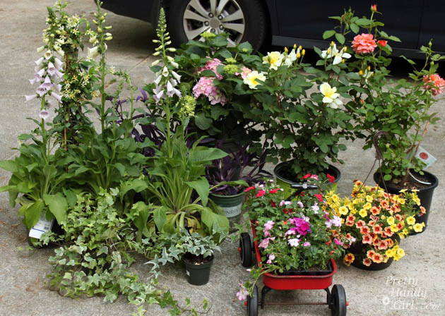 Easy Color in Your Landscaping Beds | Pretty Handy Girl