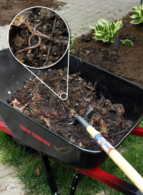 Easy Color in Your Landscaping Beds | Pretty Handy Girl