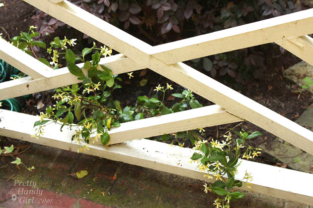 Easy Color in Your Landscaping Beds | Pretty Handy Girl