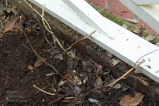 Easy Color in Your Landscaping Beds | Pretty Handy Girl