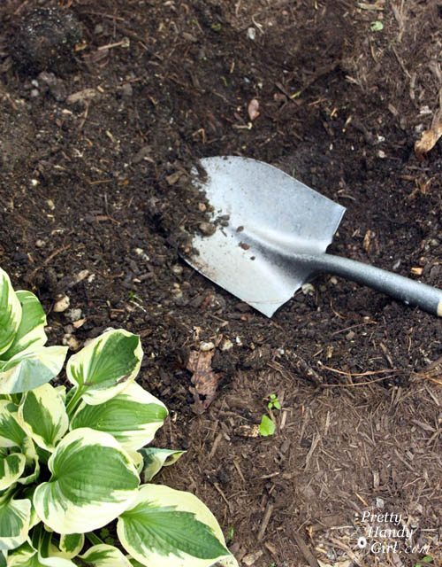 Easy Color in Your Landscaping Beds | Pretty Handy Girl