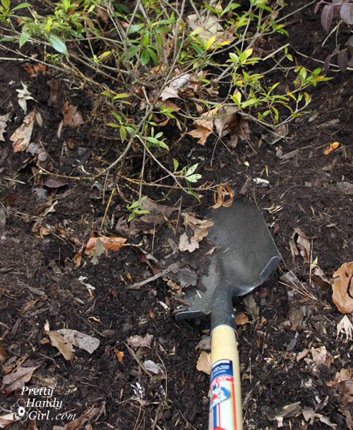 Easy Color in Your Landscaping Beds | Pretty Handy Girl