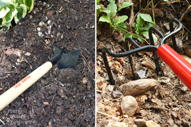Easy Color in Your Landscaping Beds | Pretty Handy Girl