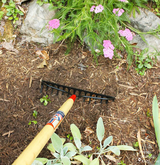 Easy Color in Your Landscaping Beds | Pretty Handy Girl
