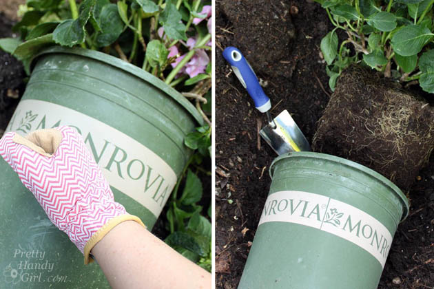 Easy Color in Your Landscaping Beds | Pretty Handy Girl