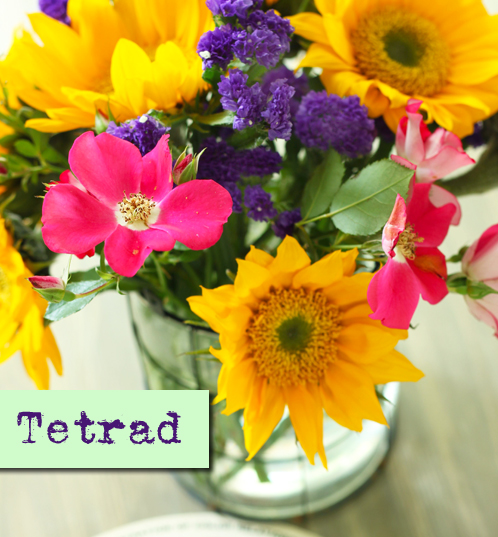 Tetrad Color Hamonies Split Compliment Color Palette | Pretty Handy Girl