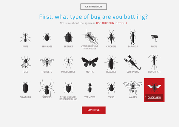 Honeybee vs. Yellow Jacket | Pretty Handy Girl