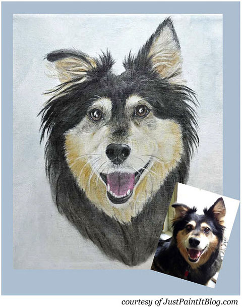 Buddy Handy Dog | English Shepherd Portrait