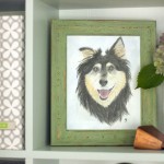 Buddy Handy Dog | English Shepherd Portrait
