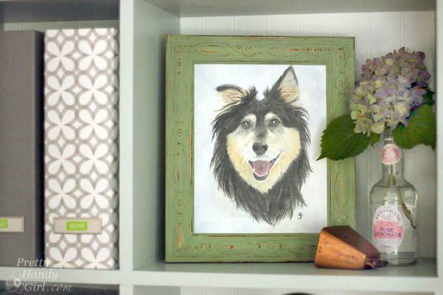 Buddy Handy Dog | English Shepherd Portrait
