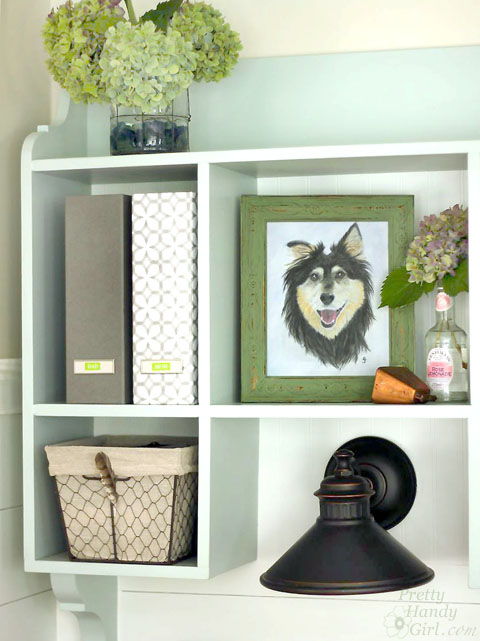 Buddy Handy Dog | English Shepherd Portrait