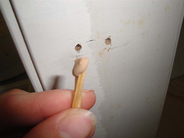 How to Fix Stripped Holes in Wood | Pretty Handy Girl