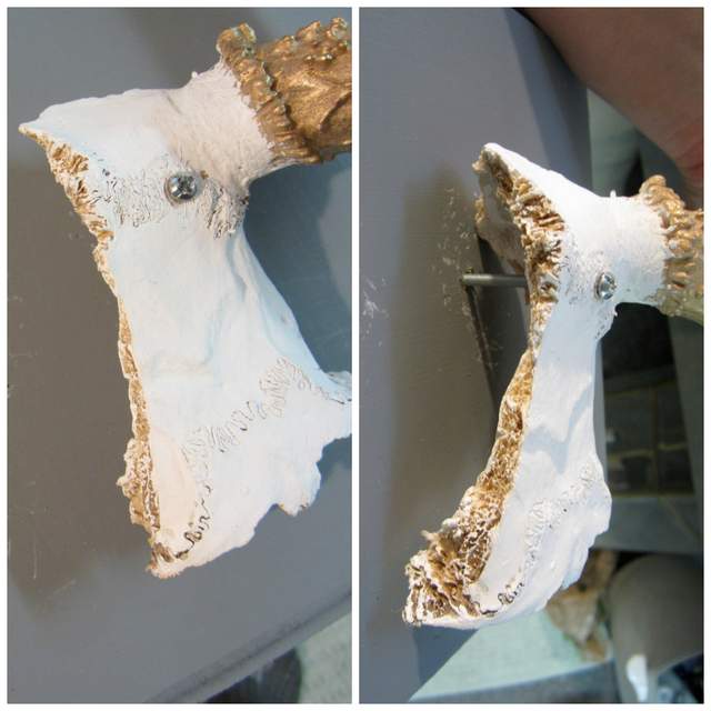 How ot Mount Antlers