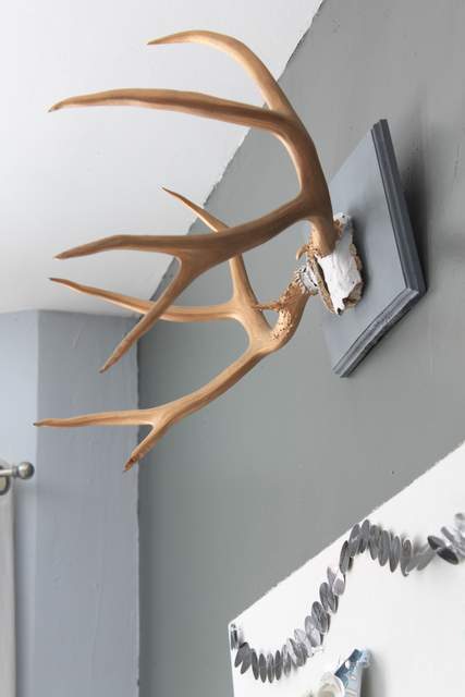 How to Mount Antlers