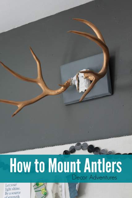 How to Mount Antlers