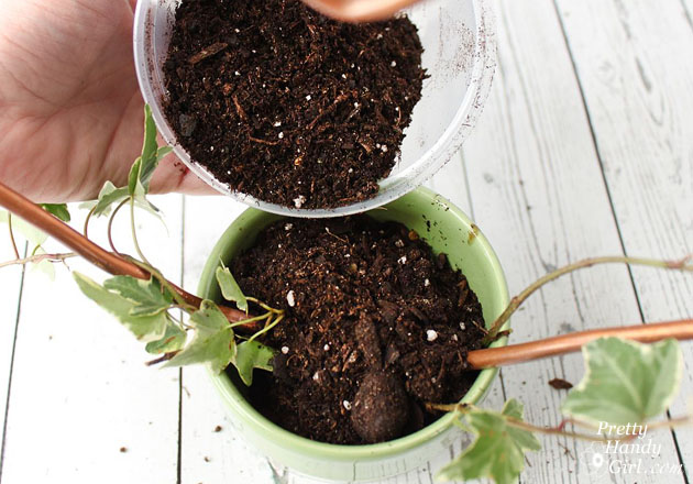 Heart Shaped Topiary | Pretty Handy Girl