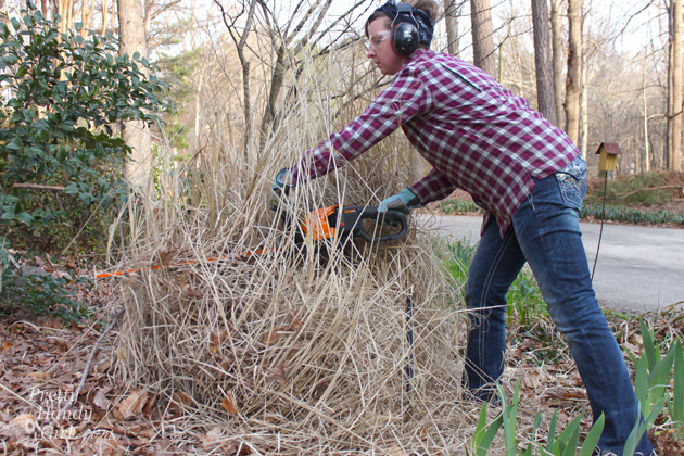 WORX 56v Hedge Trimmer Review | Pretty Handy Girl