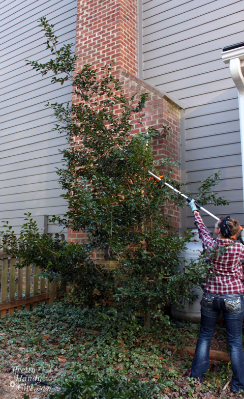 WORX 56v Hedge Trimmer Review | Pretty Handy Girl