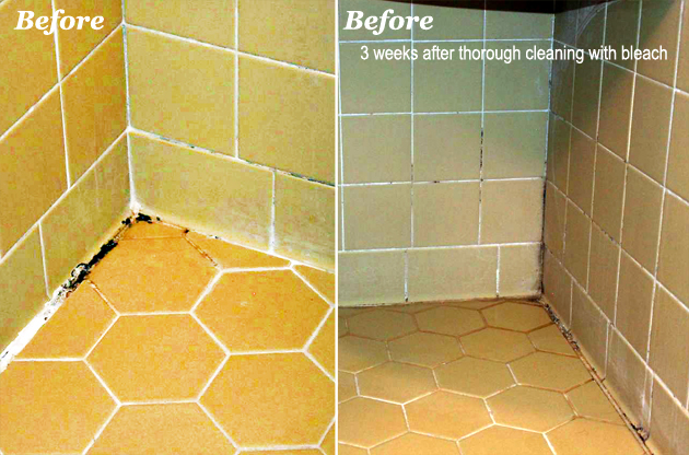 Mold & Mildew Free Shower for 4 months | Pretty Handy Girl