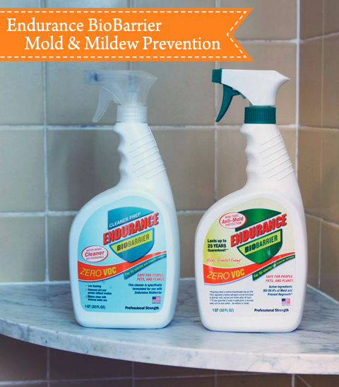 Mold & Mildew Free Shower for 4 months | Pretty Handy Girl