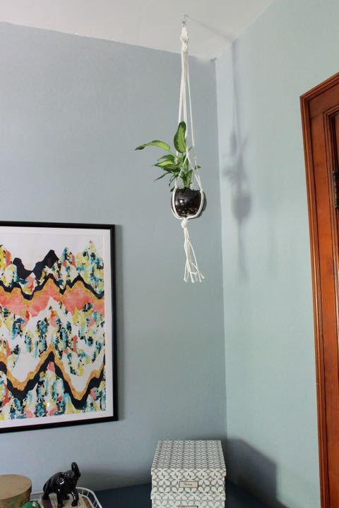 DIY Macrame Plant Hanger