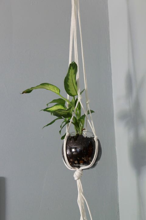 DIY Macrame Plant Hanger