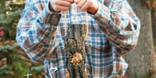 Give your feathered friends a treat from spingtime through winter. Make this easy-peasy DIY log bird feeder with one tool and a few basic materials by Prodigal Pieces for Pretty Handy Girl www.prodigalpieces.com #prodigalpieces